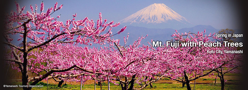 Amazing Tours Review